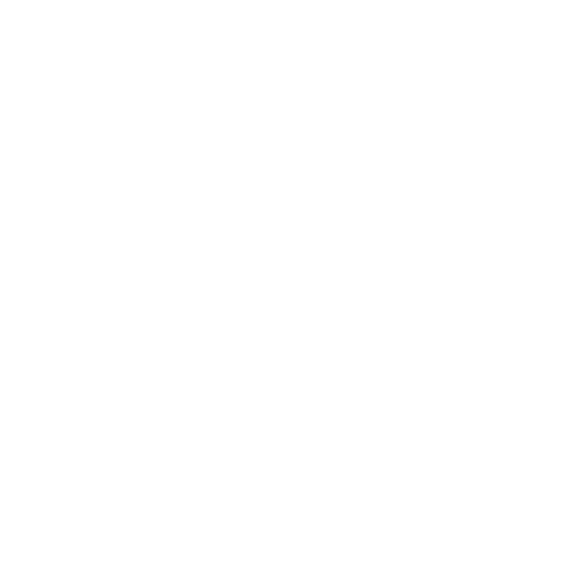 Lonsdale Scouts